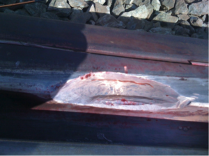 Railway cracks